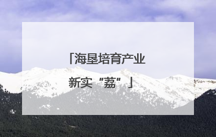 海垦培育产业新实“荔”