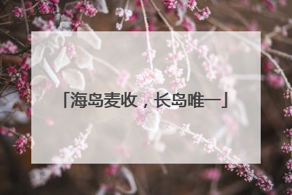 海岛麦收，长岛唯一