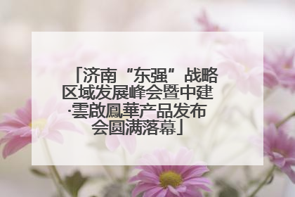 济南“东强”战略区域发展峰会暨中建·雲啟鳳華产品发布会圆满落幕