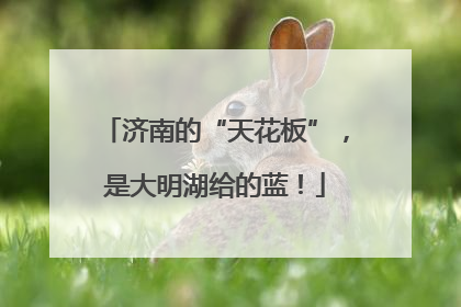济南的“天花板”，是大明湖给的蓝！