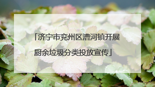 济宁市兖州区漕河镇开展厨余垃圾分类投放宣传