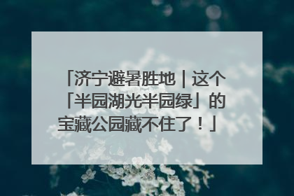 济宁避暑胜地｜这个「半园湖光半园绿」的宝藏公园藏不住了！