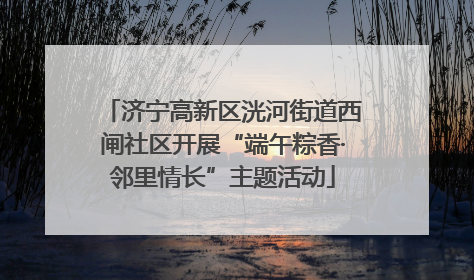 济宁高新区洸河街道西闸社区开展“端午粽香·邻里情长”主题活动