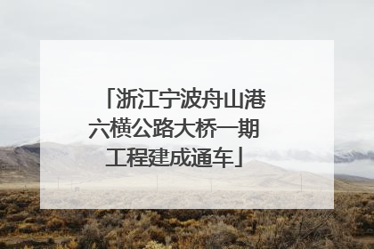浙江宁波舟山港六横公路大桥一期工程建成通车