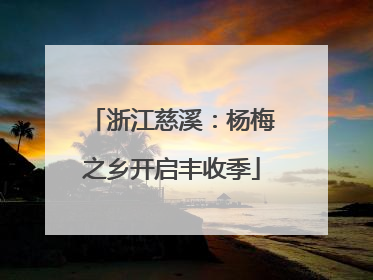 浙江慈溪：杨梅之乡开启丰收季