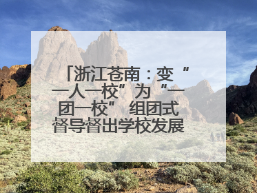 浙江苍南：变“一人一校”为“一团一校” 组团式督导督出学校发展加速度