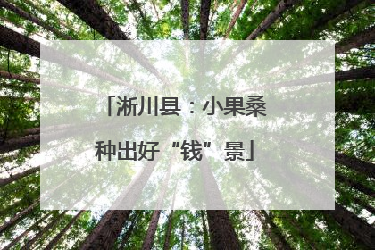 淅川县：小果桑种出好“钱”景