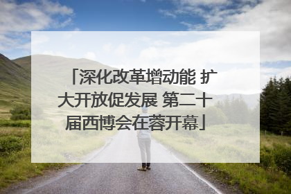 深化改革增动能 扩大开放促发展 第二十届西博会在蓉开幕