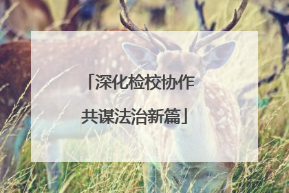深化检校协作 共谋法治新篇