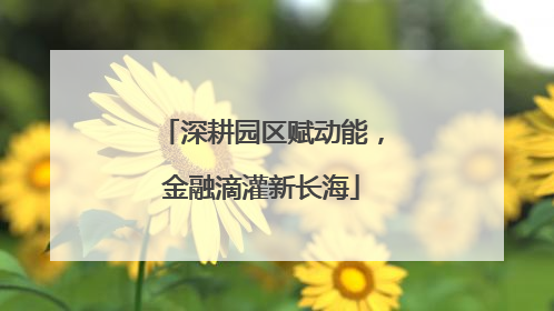 深耕园区赋动能，金融滴灌新长海