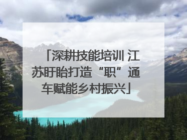 深耕技能培训 江苏盱眙打造“职”通车赋能乡村振兴