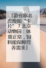 游客称老虎瘦如“卡片”？北京动物园：体重正常，饲料能保障营养需求