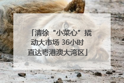 清徐“小菜心”撬动大市场 36小时直达粤港澳大湾区