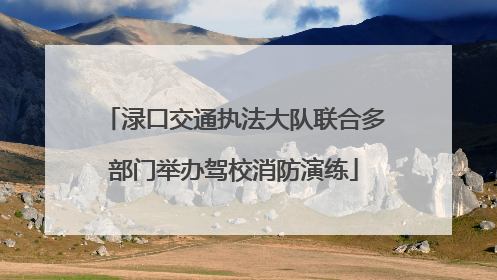 渌口交通执法大队联合多部门举办驾校消防演练