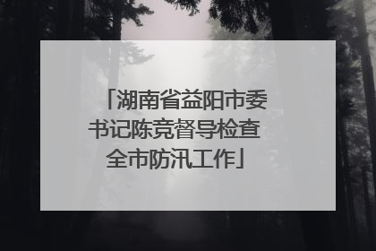 湖南省益阳市委书记陈竞督导检查全市防汛工作