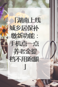 湖南上线城乡居保补缴新功能：手机点一点 养老金提档不用跑腿