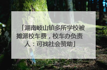 湖南岐山镇多所学校被摊派校车费，校车办负责人：可找社会赞助