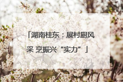 湖南桂东：展村厨风采 烹振兴“实力”