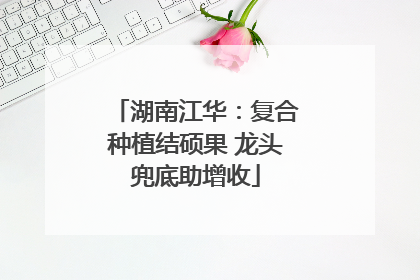 湖南江华：复合种植结硕果 龙头兜底助增收