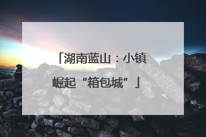 湖南蓝山：小镇崛起“箱包城”