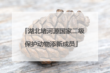 湖北堵河源国家二级保护动物添新成员
