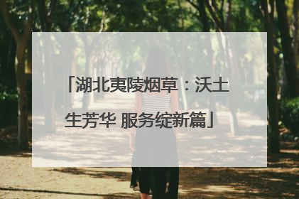 湖北夷陵烟草：沃土生芳华 服务绽新篇