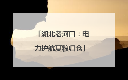 湖北老河口：电力护航夏粮归仓