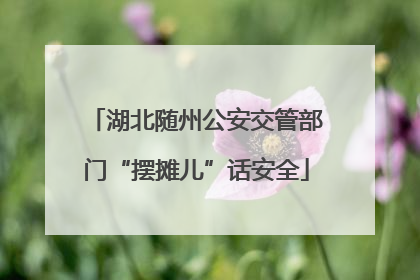 湖北随州公安交管部门“摆摊儿”话安全