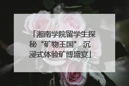 湘南学院留学生探秘“矿物王国” 沉浸式体验矿博盛宴