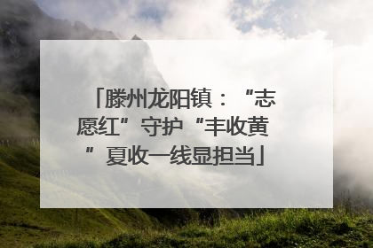滕州龙阳镇：“志愿红”守护“丰收黄”夏收一线显担当