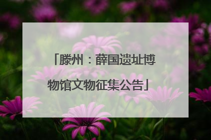 滕州：薛国遗址博物馆文物征集公告