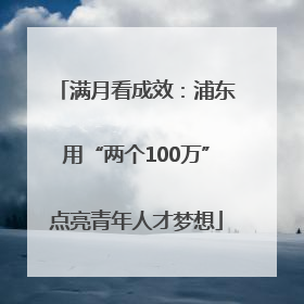 满月看成效：浦东用“两个100万”点亮青年人才梦想