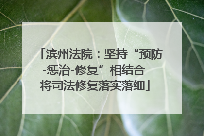 滨州法院：坚持“预防-惩治-修复”相结合 将司法修复落实落细