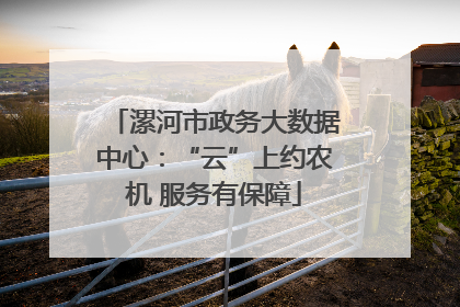 漯河市政务大数据中心：“云”上约农机 服务有保障