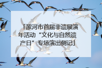 漯河市首届非遗展演年活动“文化与自然遗产日”专场演出侧记