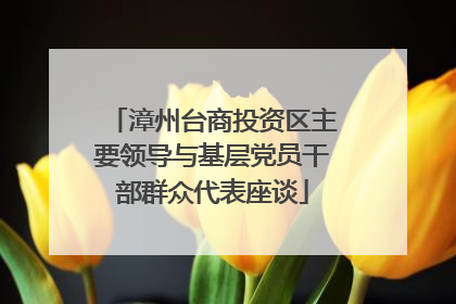 漳州台商投资区主要领导与基层党员干部群众代表座谈