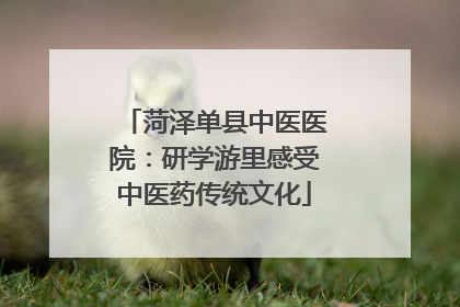 菏泽单县中医医院：研学游里感受中医药传统文化