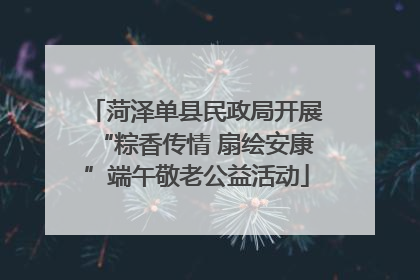 菏泽单县民政局开展“粽香传情 扇绘安康”端午敬老公益活动