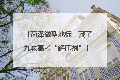 菏泽微型地标，藏了九味高考“解压剂”