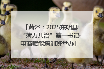 菏泽：2025东明县“菏力共治”第一书记·电商赋能培训班举办