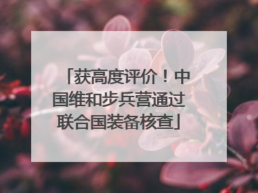 获高度评价！中国维和步兵营通过联合国装备核查