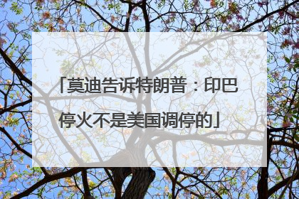 莫迪告诉特朗普：印巴停火不是美国调停的