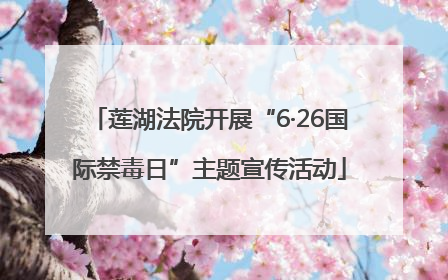 莲湖法院开展“6·26国际禁毒日”主题宣传活动