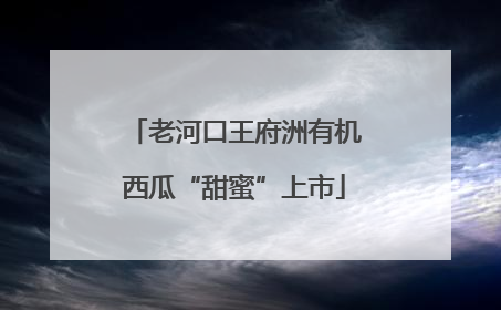 老河口王府洲有机西瓜“甜蜜”上市