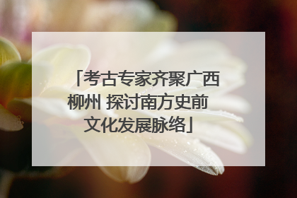 考古专家齐聚广西柳州 探讨南方史前文化发展脉络
