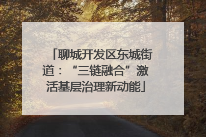 聊城开发区东城街道：“三链融合”激活基层治理新动能
