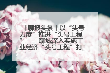 聊报头条丨以“头号力度”推进“头号工程”——聊城深入实施工业经济“头号工程”打造经济发展强引擎