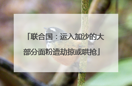 联合国：运入加沙的大部分面粉遭劫掠或哄抢