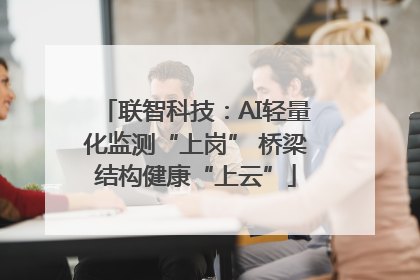 联智科技：AI轻量化监测“上岗” 桥梁结构健康“上云”
