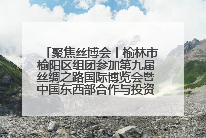 聚焦丝博会丨榆林市榆阳区组团参加第九届丝绸之路国际博览会暨中国东西部合作与投资贸易洽谈会